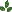 leaf decoration
